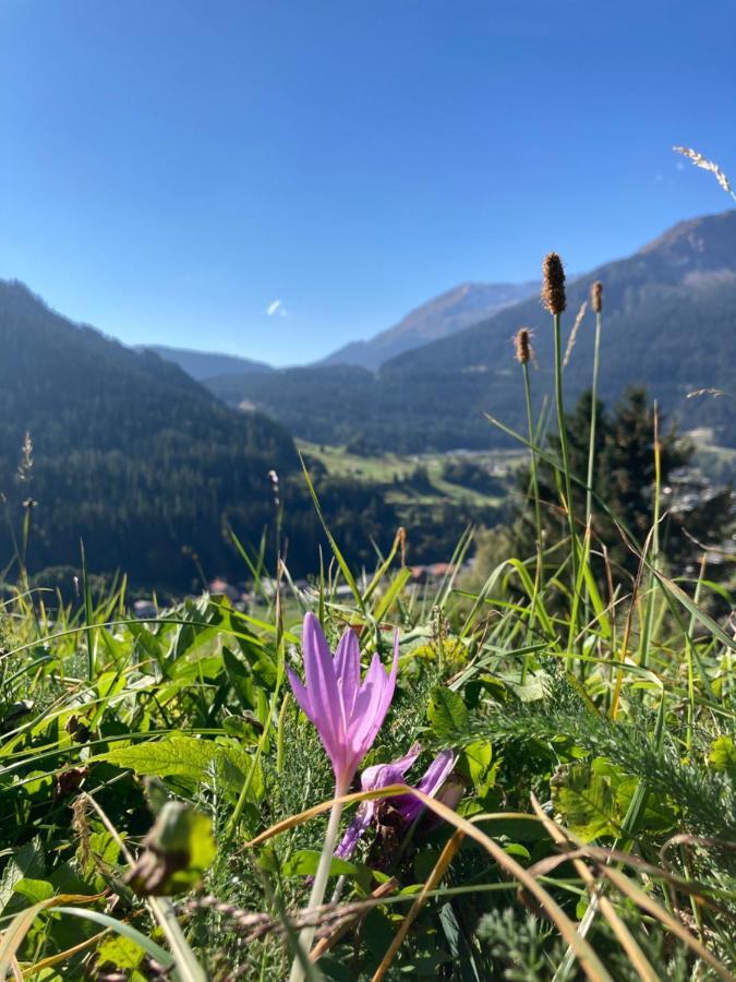 Fewo Gotschna Haus Bargis Klosters Exteriör bild
